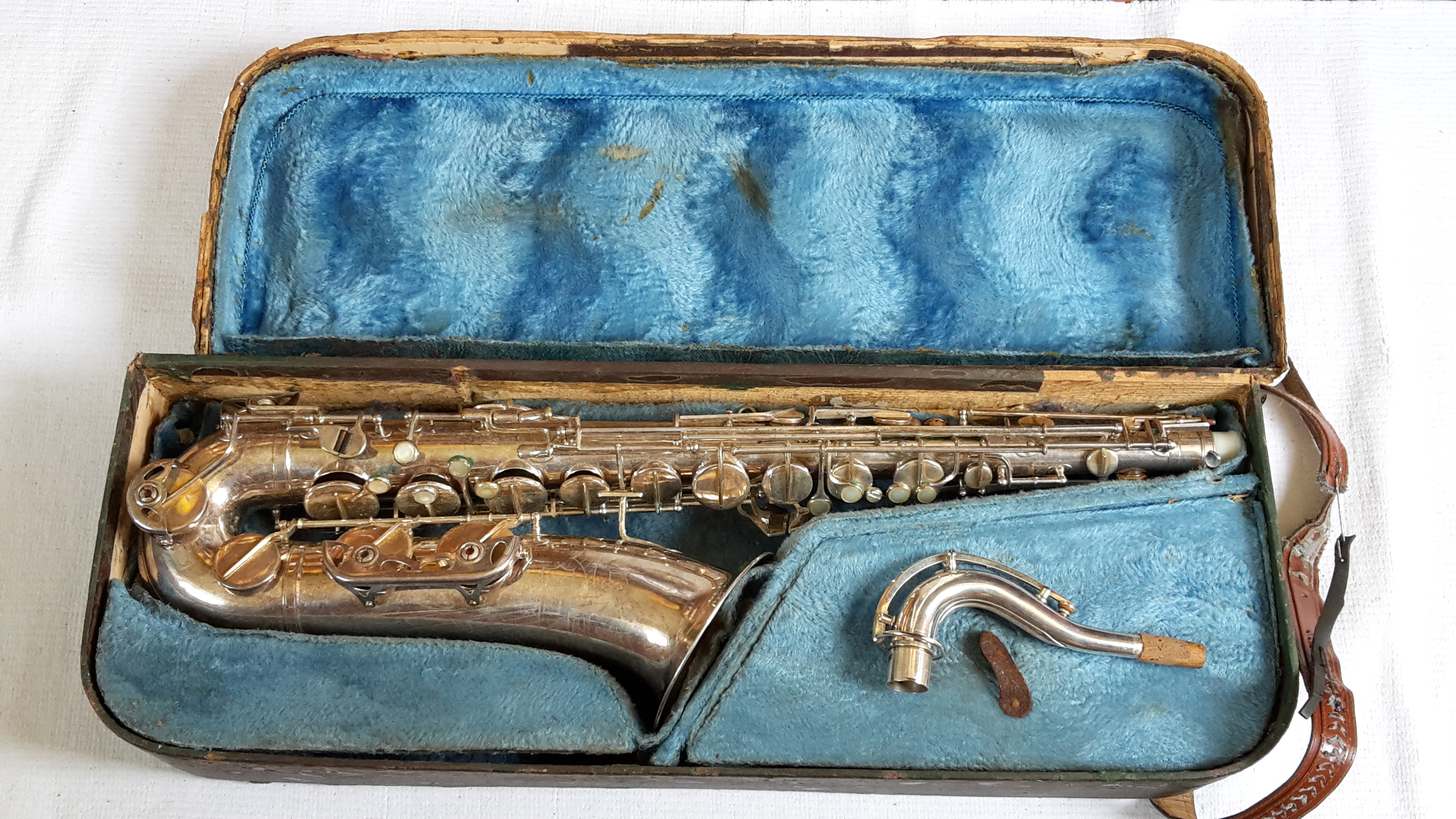 Toneking  JKG No.21859