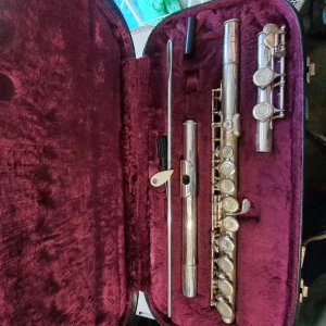 Amati  C 177 vyr.č.3_2130
