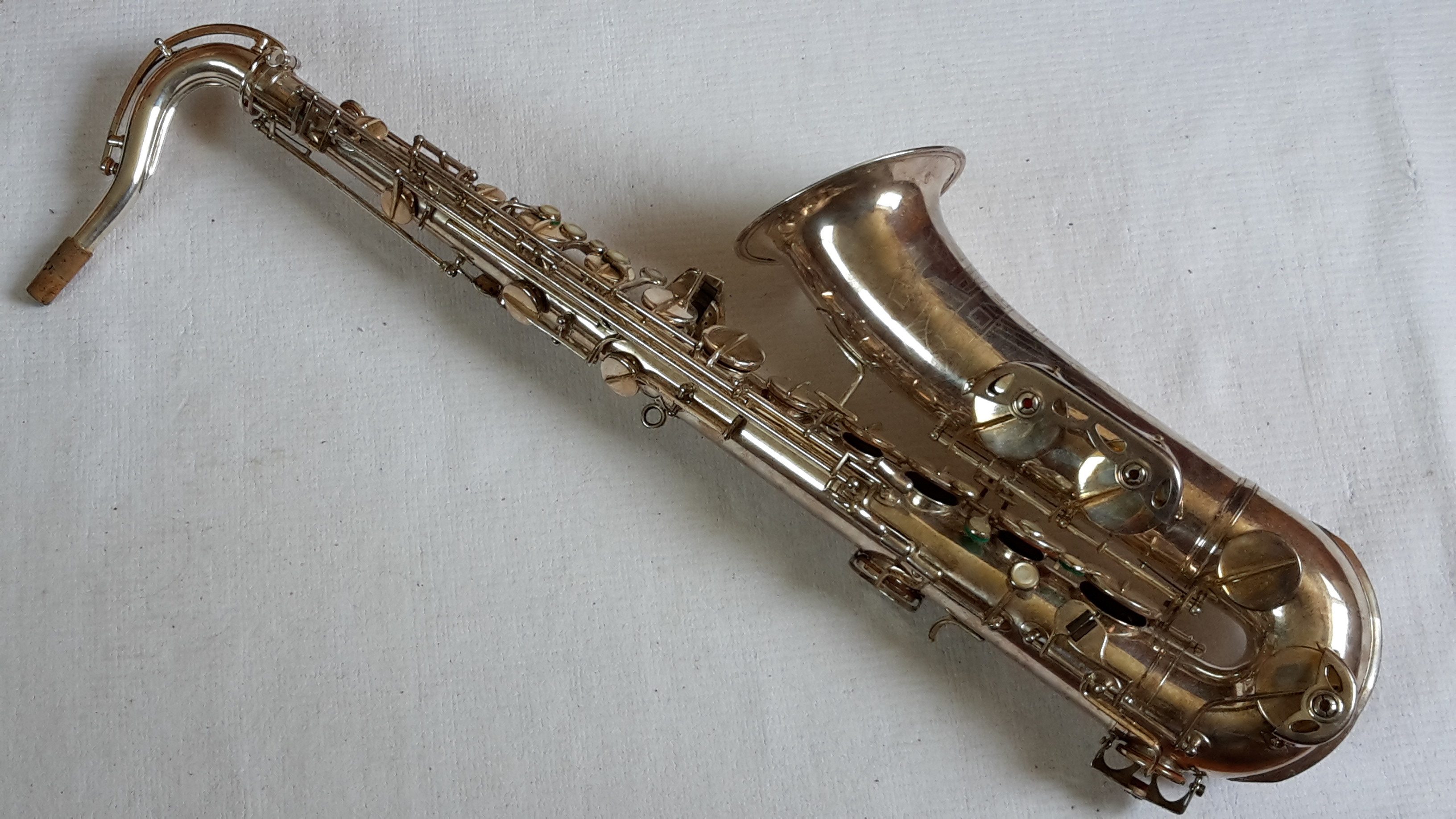 Toneking  JKG No.21859