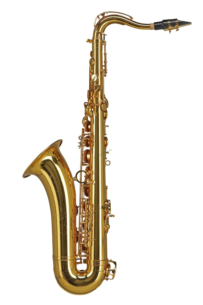 GEWA Ambition TS 650 (Conn)