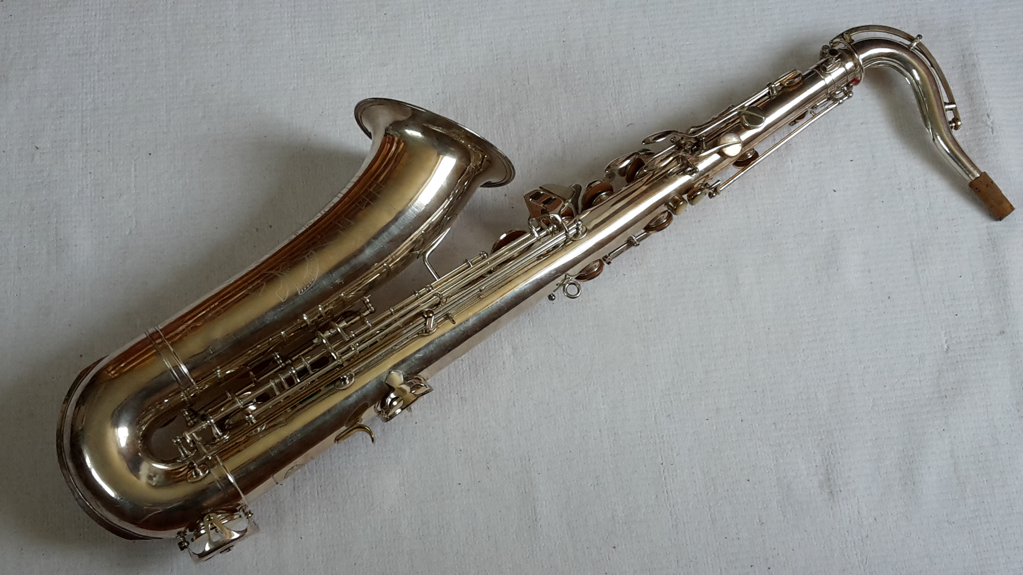 Toneking  JKG No.21859