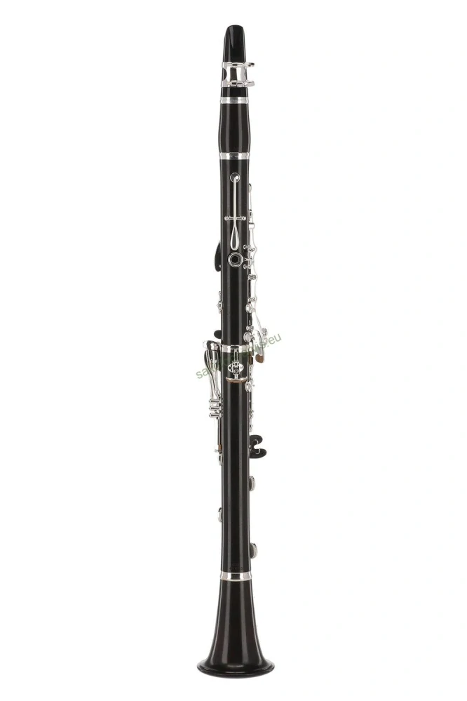 Gewa KS20E model Karel Sandner