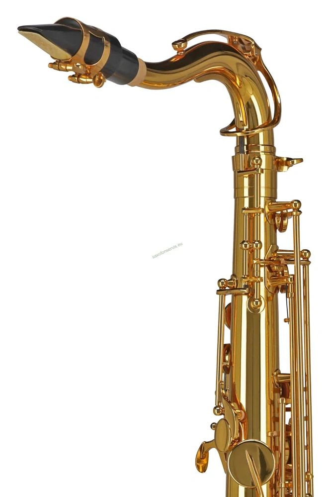 GEWA Ambition TS 650 (Conn)