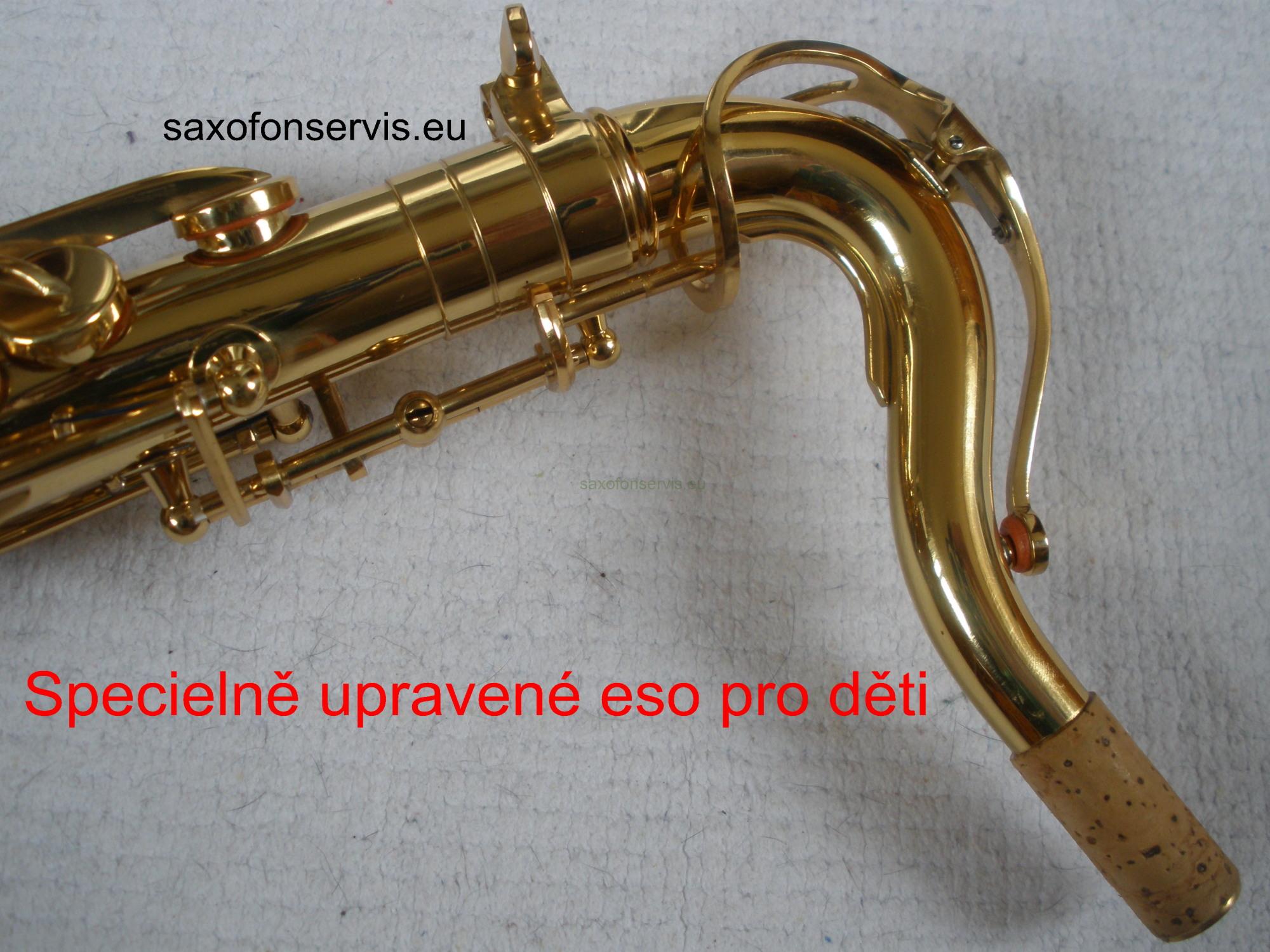 ROY BENSON  AS-201  alt saxofon pro děti