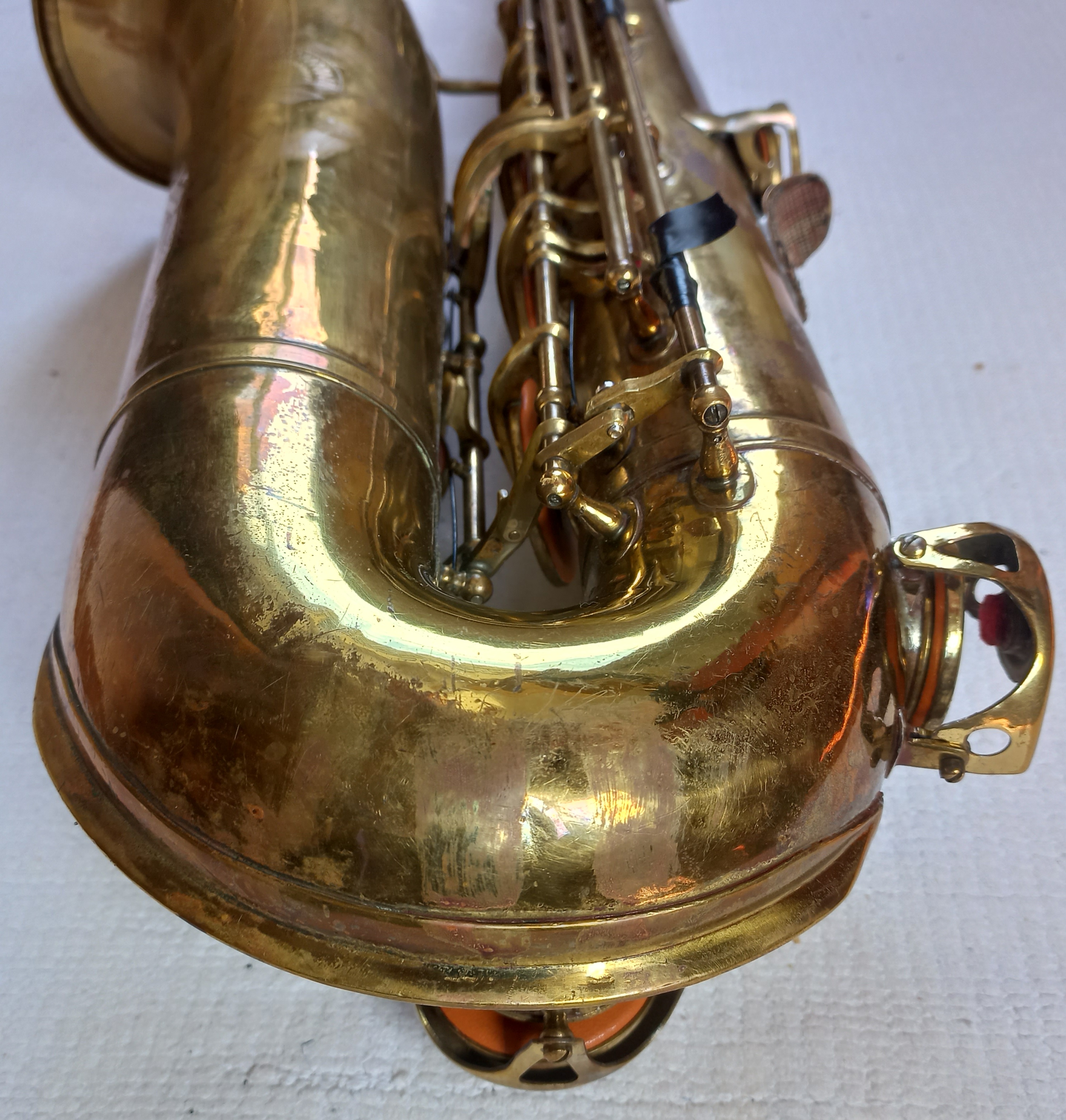 TONEKING No.22119
