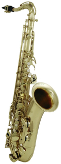 ROY BENSON         TS-302  Pro 